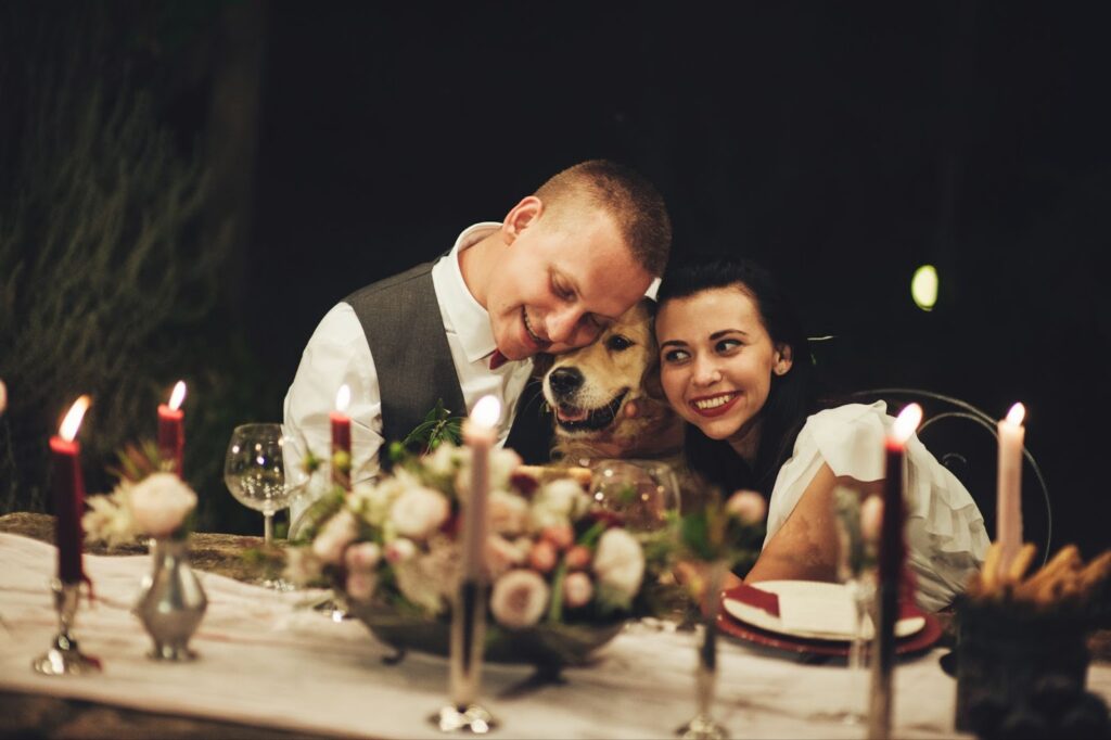 bride groom dog