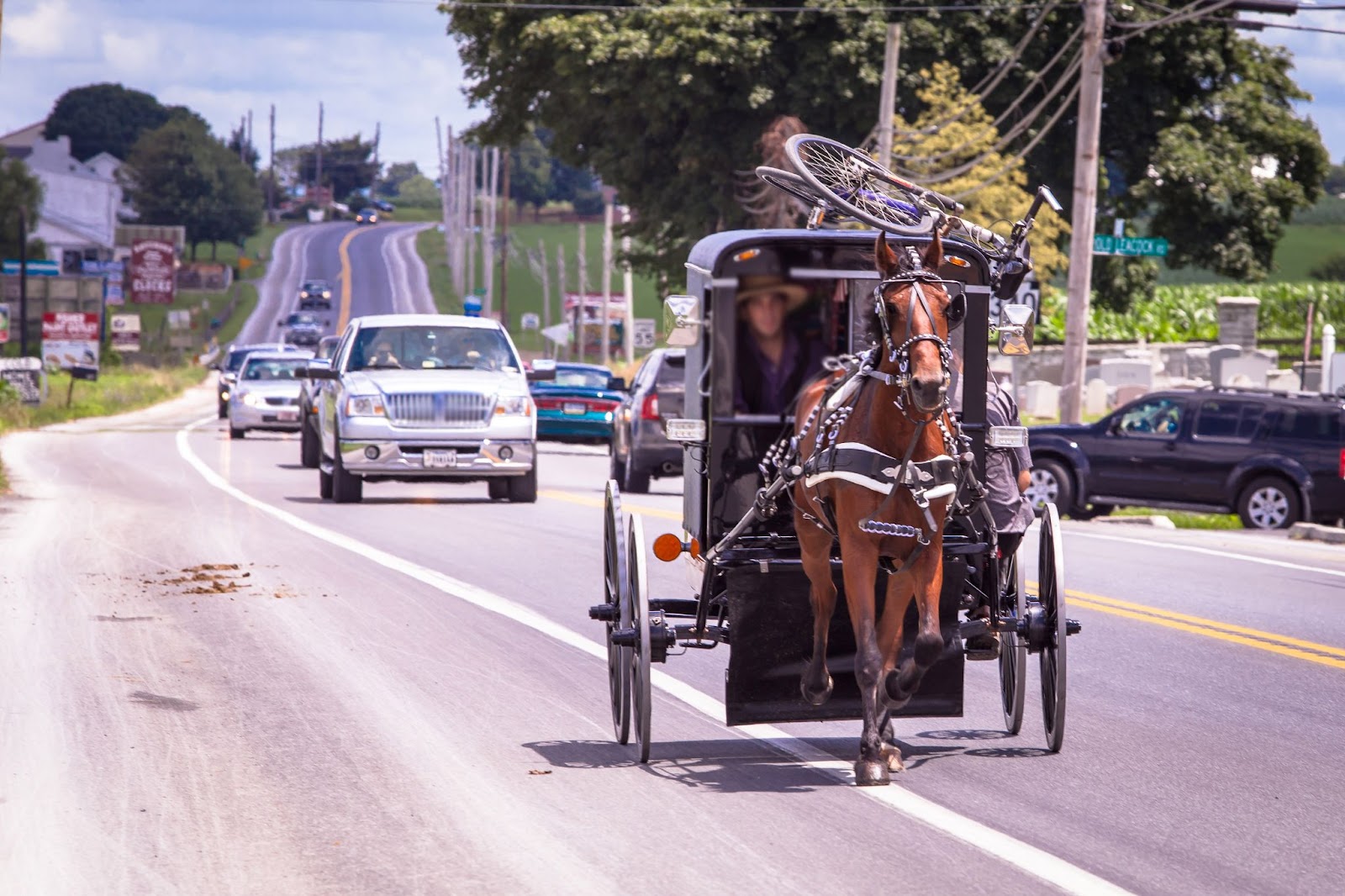 amish horse buggy