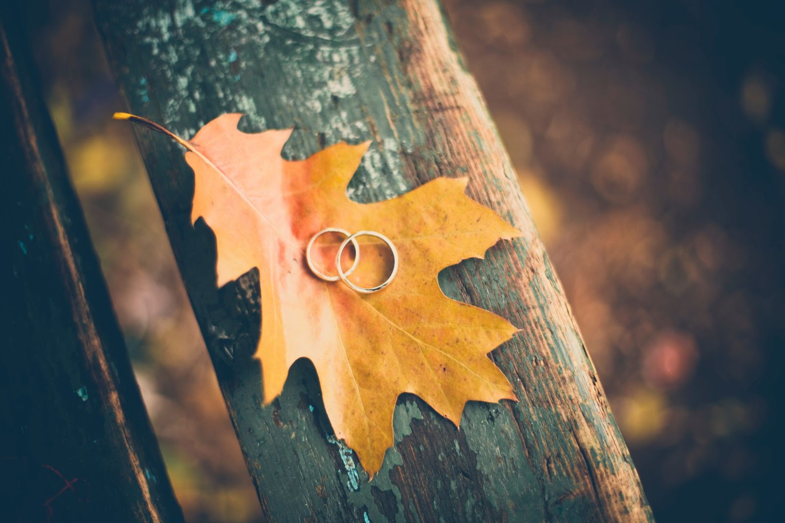 wedding ring leaf