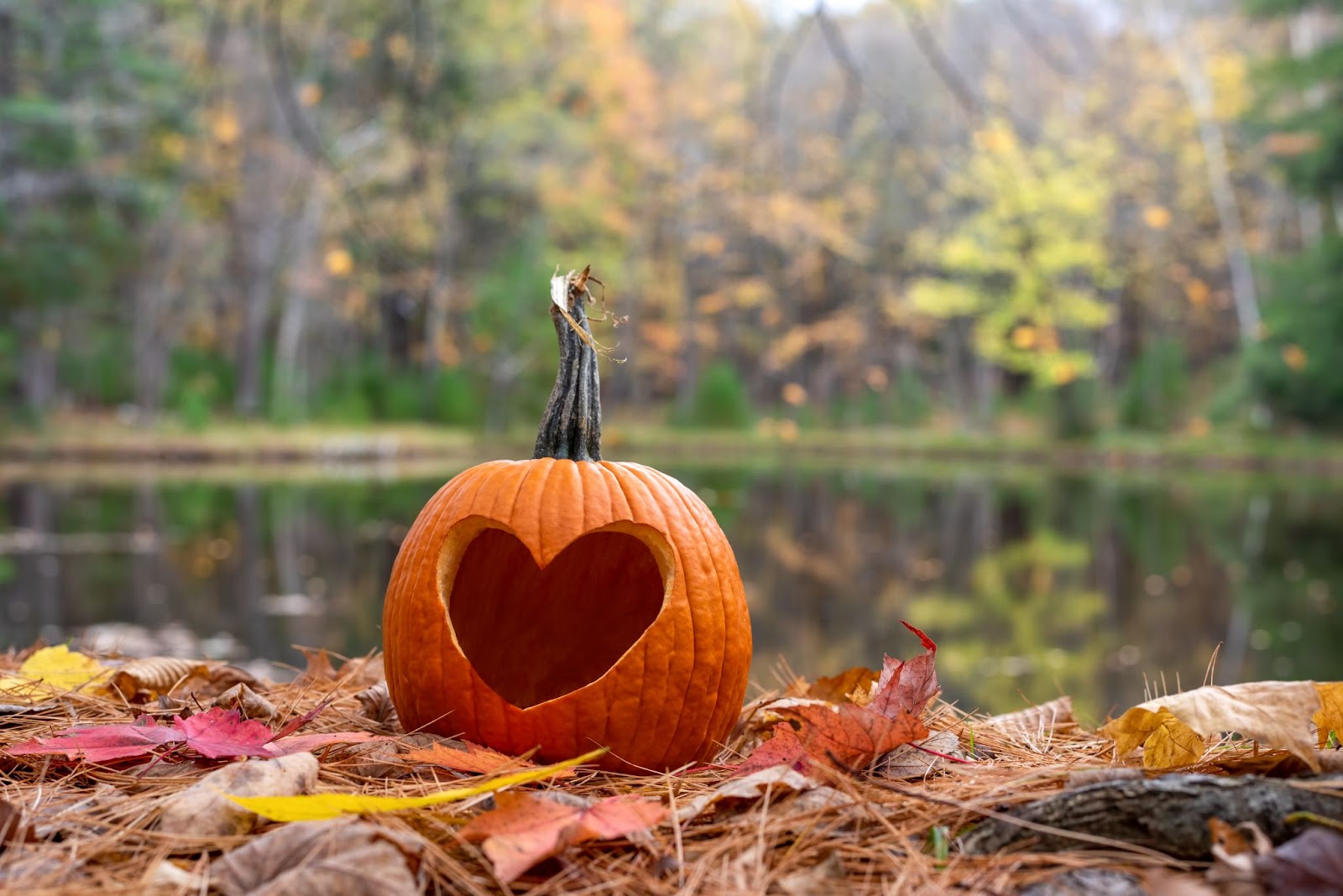 heart pumpkin carve