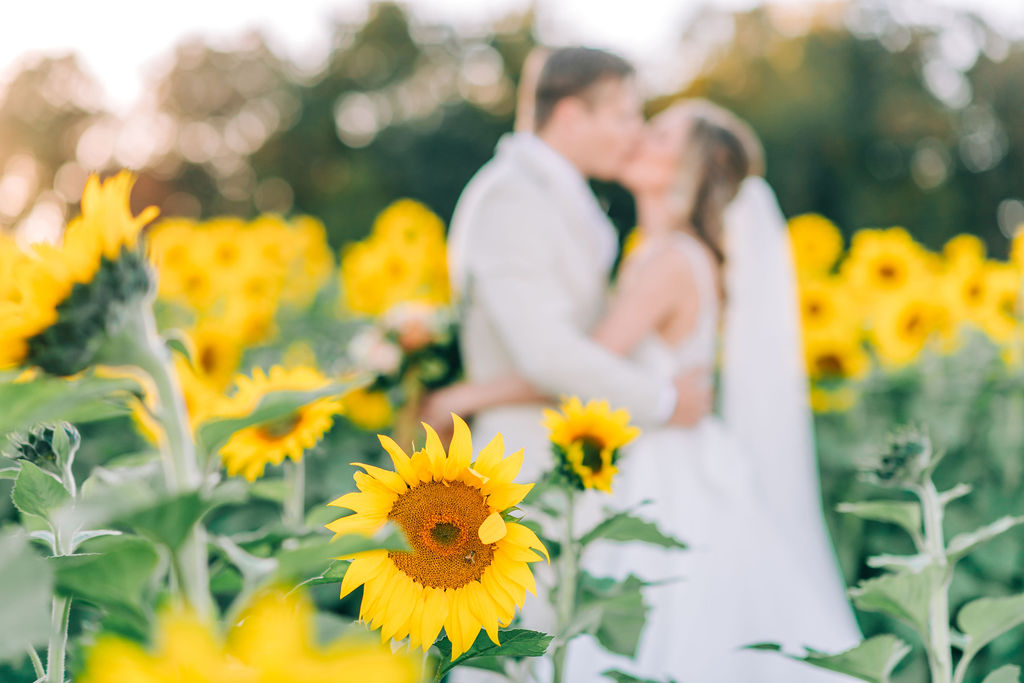 bride groom sunflower